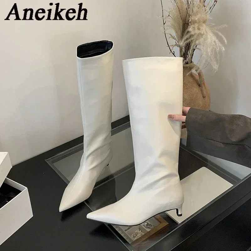 Aneikeh New Brown Kitten Heels Women Modern Boots Female Shoes 2026 Fashion Luxury Pointed Toe Ladies Long Knee Western Boots