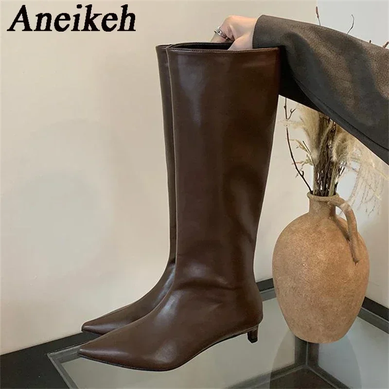 Aneikeh New Brown Kitten Heels Women Modern Boots Female Shoes 2026 Fashion Luxury Pointed Toe Ladies Long Knee Western Boots