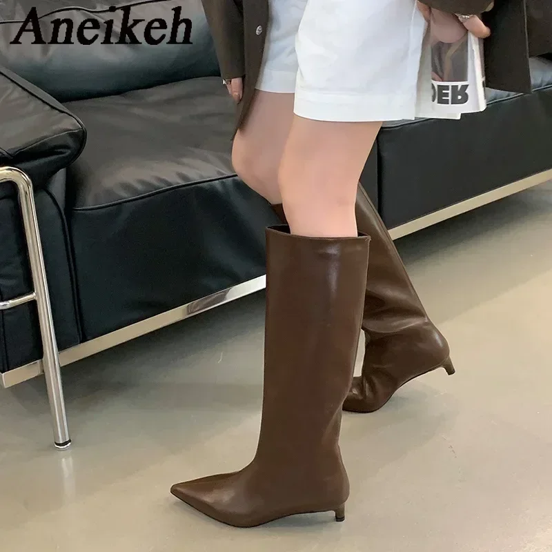 Aneikeh New Brown Kitten Heels Women Modern Boots Female Shoes 2026 Fashion Luxury Pointed Toe Ladies Long Knee Western Boots