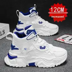 Men's High Top Dad Shoes with Thick Sole And Hidden Height 12cm Increase 10 Casual Sports Shoes for Adults Summer Synthetic