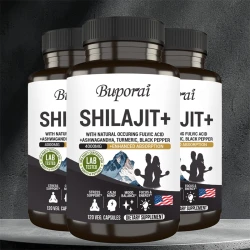 Shilajit+ Capsules - Enriched with Ashwagandha Extract for Energy, Muscle Strength Immunity, Endurance for Adult, Relieve Stress